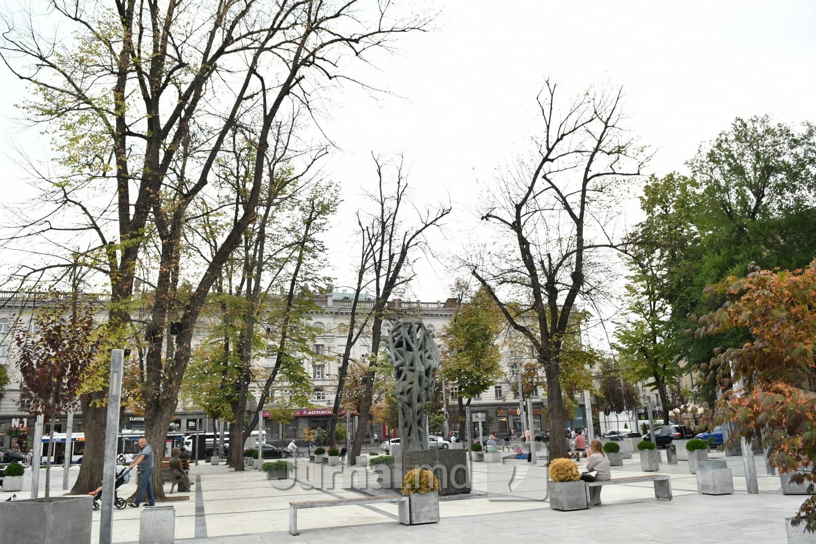 FOTO // Troturarele lui Ion Ceban omoară copacii din centrul Capitalei