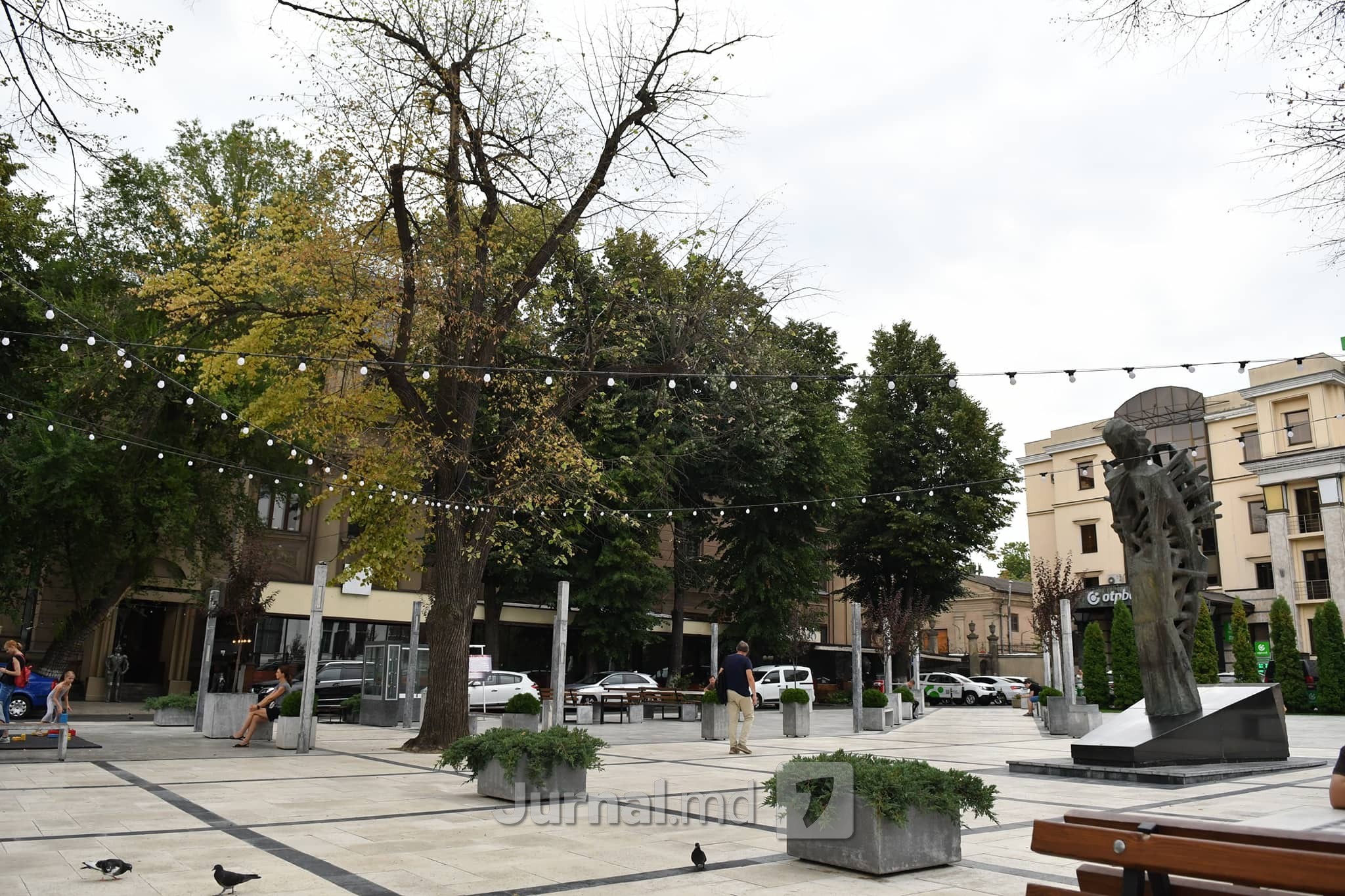 FOTO // Troturarele lui Ion Ceban omoară copacii din centrul Capitalei