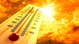 Alertă METEO // SHS a emis cod galben de caniculă
