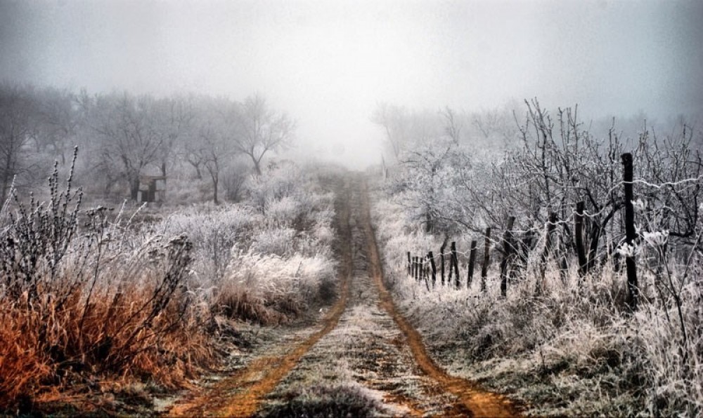 ULTIMA ORĂ // Vine iarna: Meteorologii anunță primele înghețuri