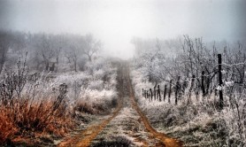ULTIMA ORĂ // Vine iarna: Meteorologii anunță primele înghețuri