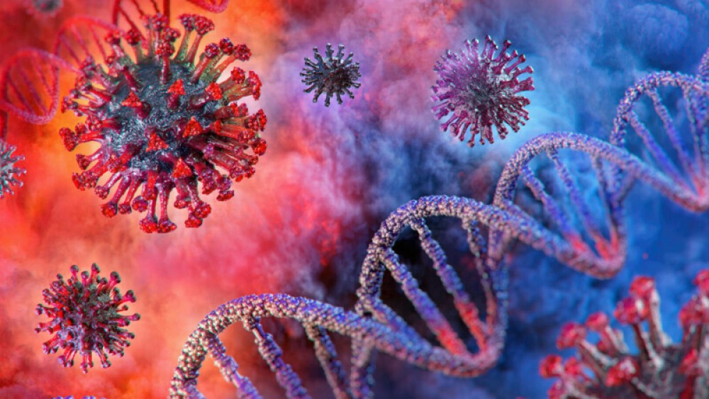 Un virus nou a fost descoperit la un animal din Rusia. Cercetătorii au mai multe îngrijorări cu privire la el