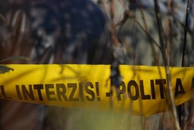 Tragedie la Stăuceni: Un bărbat a decedat strivit de copacul pe care tocmai l-a tăiat