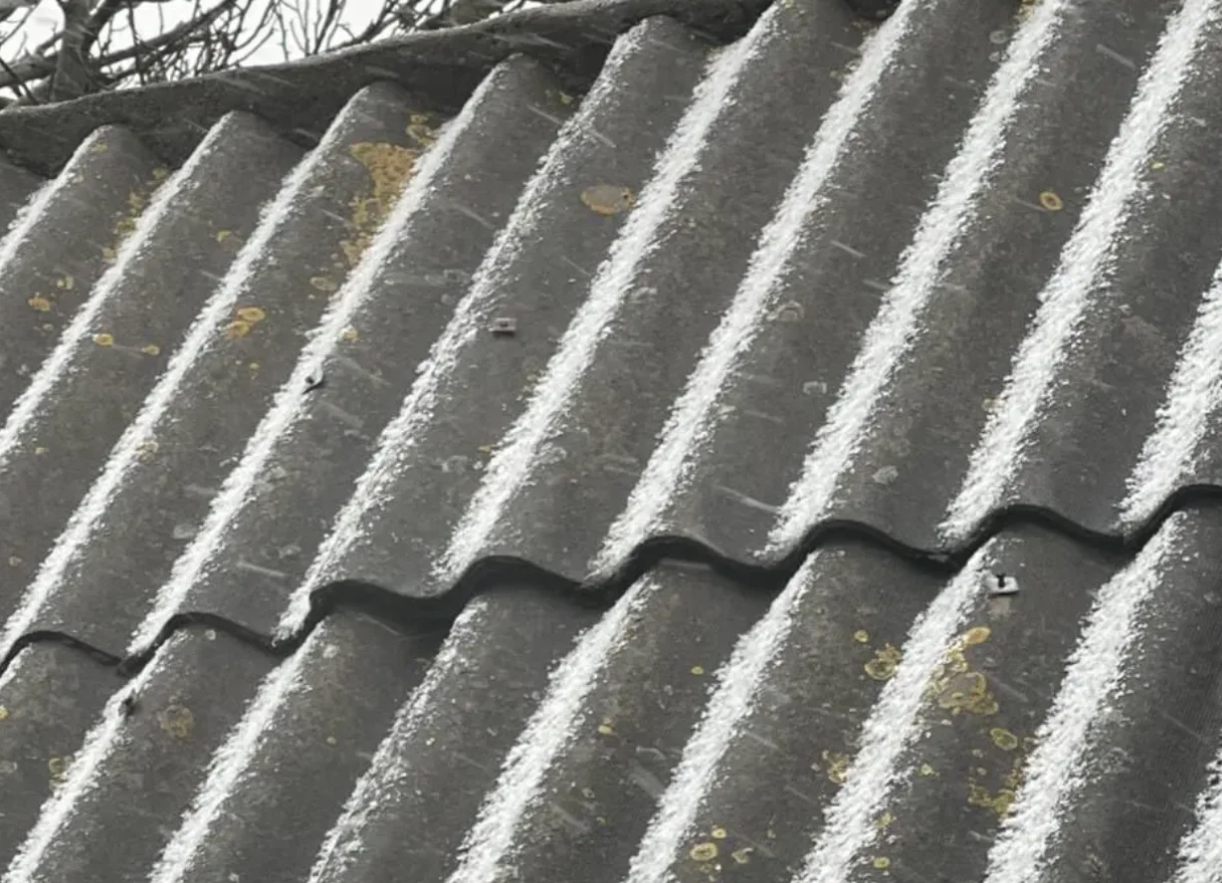 FOTO // NINGE în Moldova. Primii fulgi fac furori pe rețelele de socializare