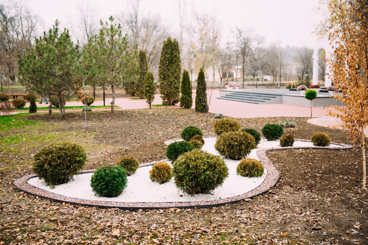 FOTO // Echipa Partidului „ȘOR” a reconstruit parcul central din Taraclia