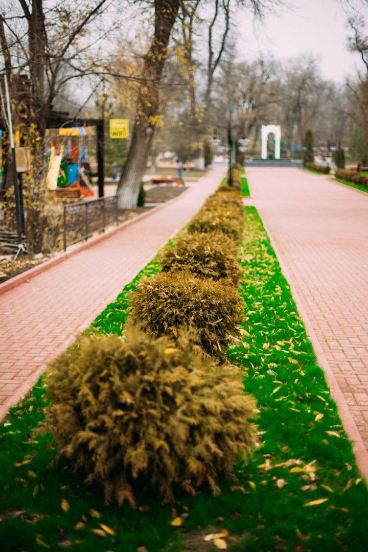 FOTO // Echipa Partidului „ȘOR” a reconstruit parcul central din Taraclia