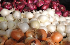 Noi SCUMPIRI. Cât a ajuns să coste 1 kg de ceapă