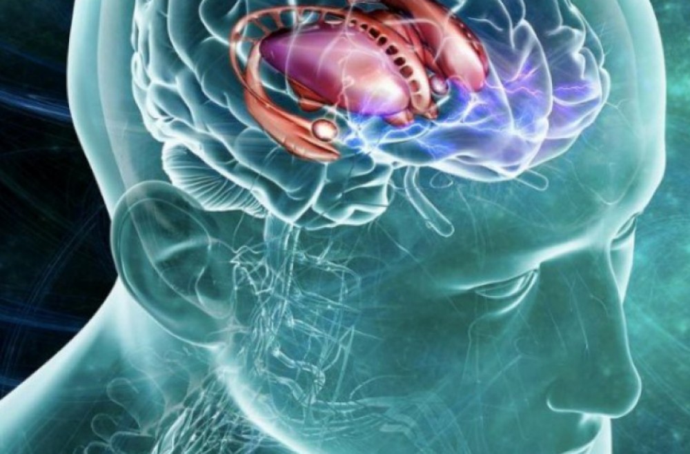 Ce se întâmplă în creierul nostru iarna? Explicațiile neurocercetătorilor