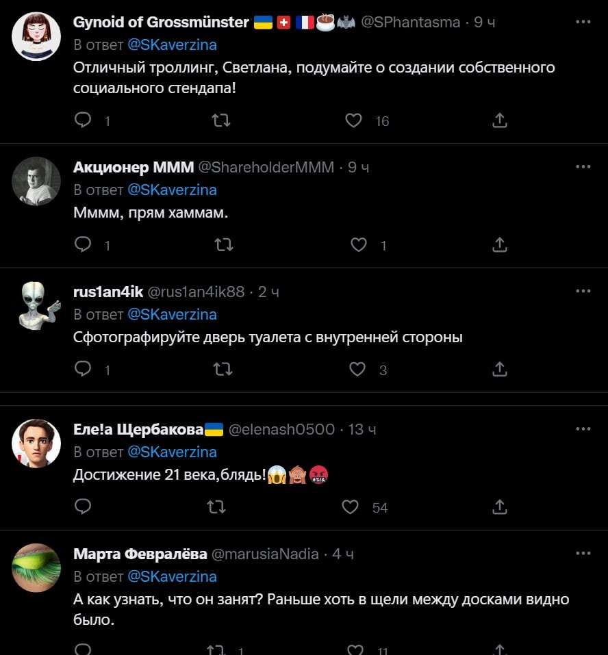 FOTO // Rusia, 2022. Un deputat se laudă cu o toaletă din scânduri