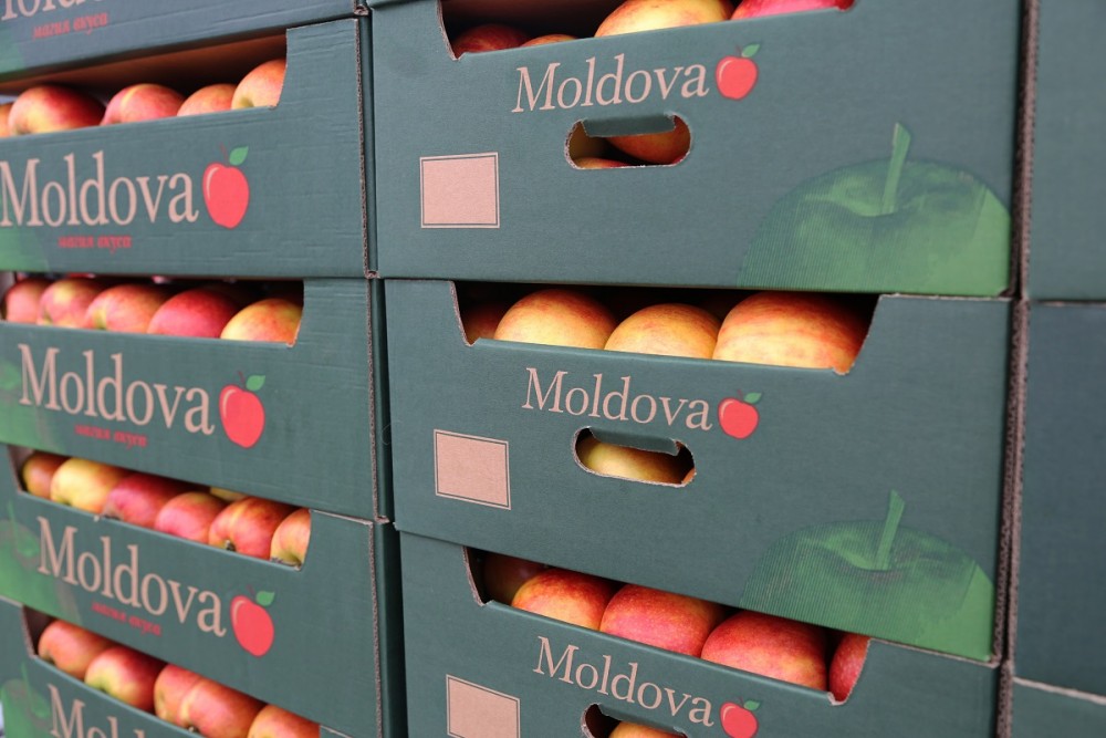 Uniunea Europeană - cel mai important partener comercial al Republicii Moldova