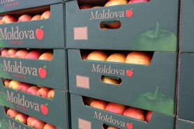 Uniunea Europeană - cel mai important partener comercial al Republicii Moldova