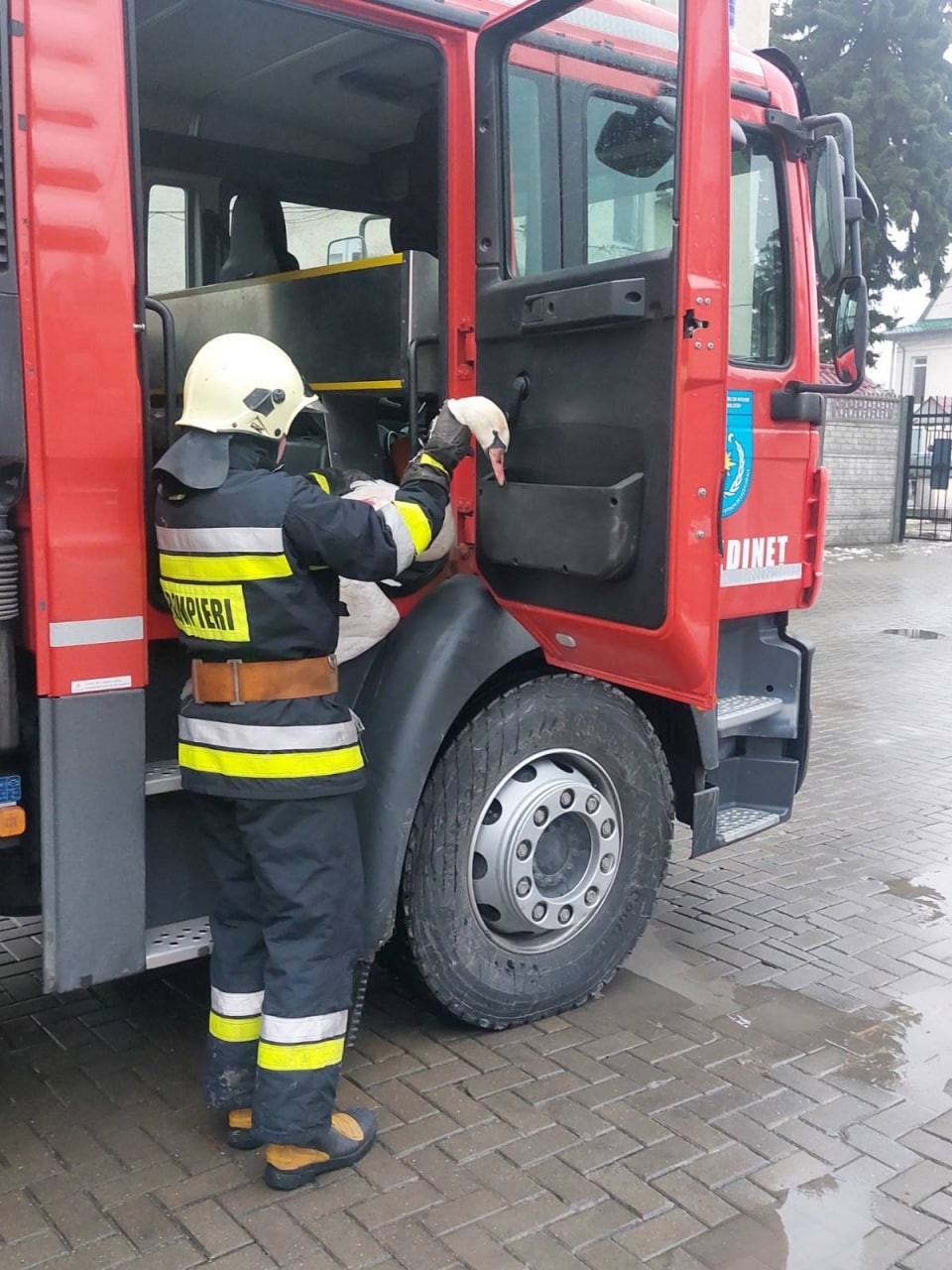 Salvatorii au intervenit în ajutorul unei lebede, care a rămas blocată într-un canal de evacuare a apei