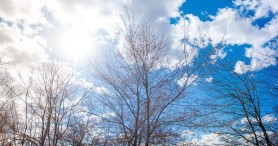 Temperaturi primăvăratice în plină iarnă. Cum va fi vremea astăzi