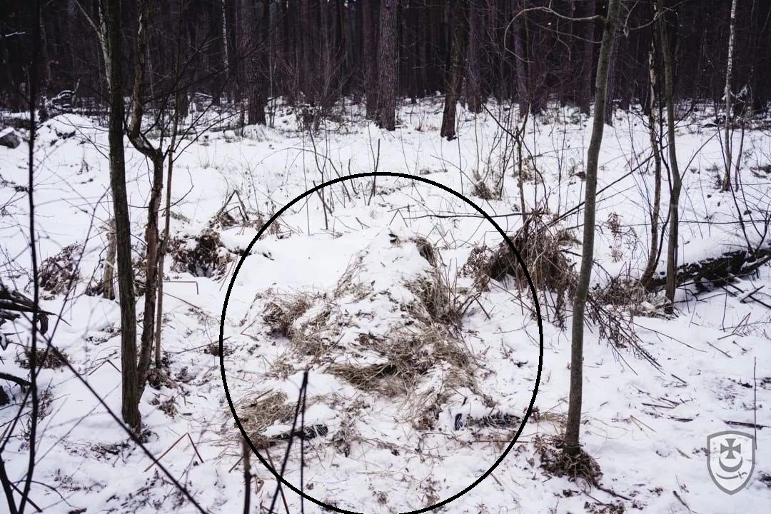 FOTO // “Găsește lunetistul!” Provocarea lansată de Armata Ucrainei