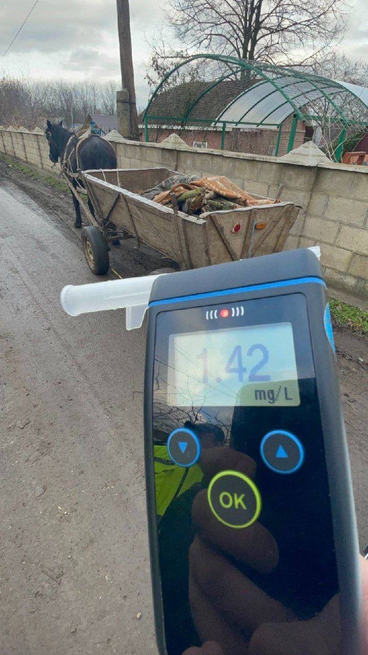 FOTO // În ultimele zile, 8 căruțași au fost prinși în stare de ebrietate de către poliție