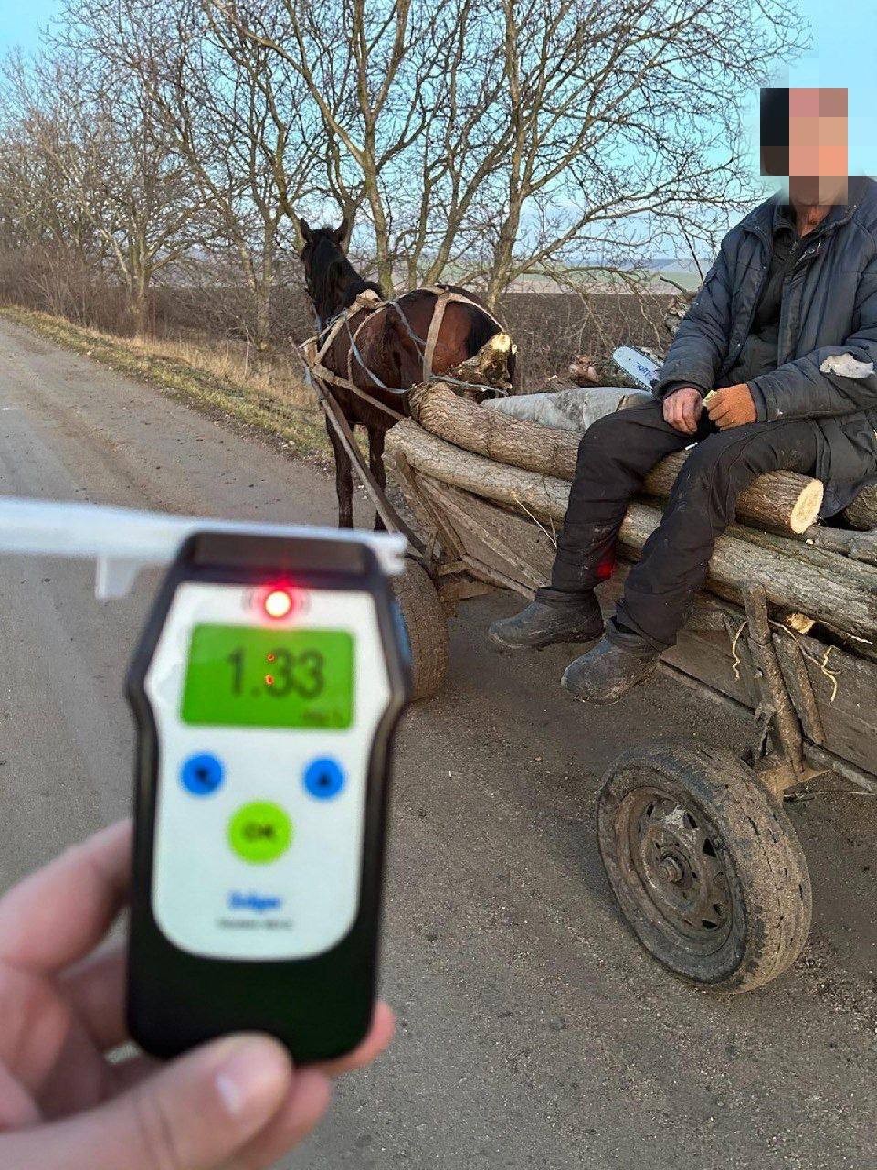 FOTO // În ultimele zile, 8 căruțași au fost prinși în stare de ebrietate de către poliție