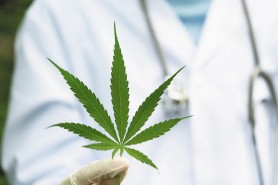 România pe ultima sută de metri de a legaliza cannabisului în scop medicinal. Beneficiile care stau la baza deciziiei