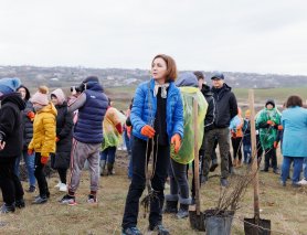 Maia Sandu a plantat puieți la Cruzești, împreună cu echipa Corpului Păcii în Moldova