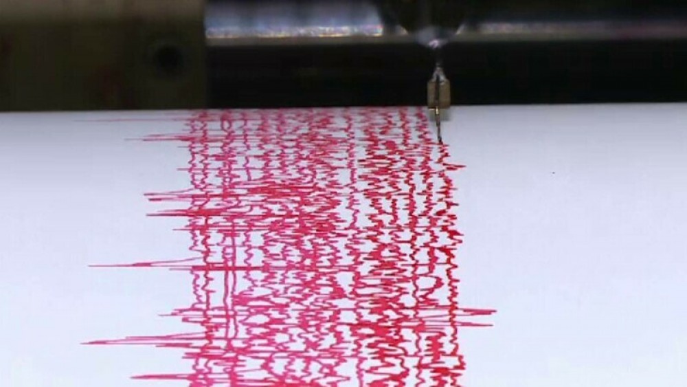 BREAKING NEWS// Cutremur matinal în munții Vrancea. Ce magnitudine a avut
