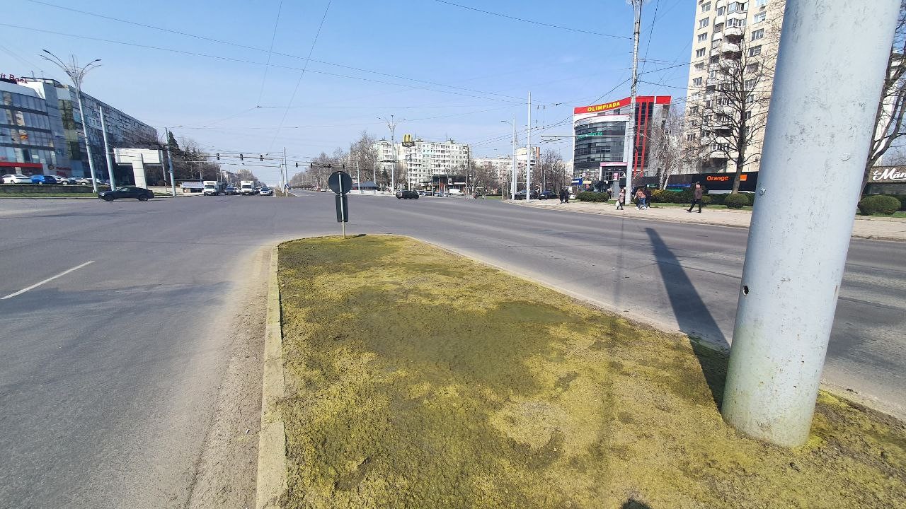 FOTO // În Chișinău este „vopsit” gazonul? Ce spune primăria