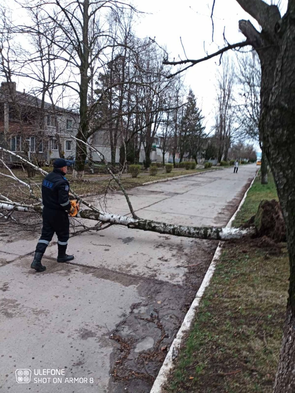 FOTO // Vântul face ravagii în toată țara. Mai multe mașini au fost avariate