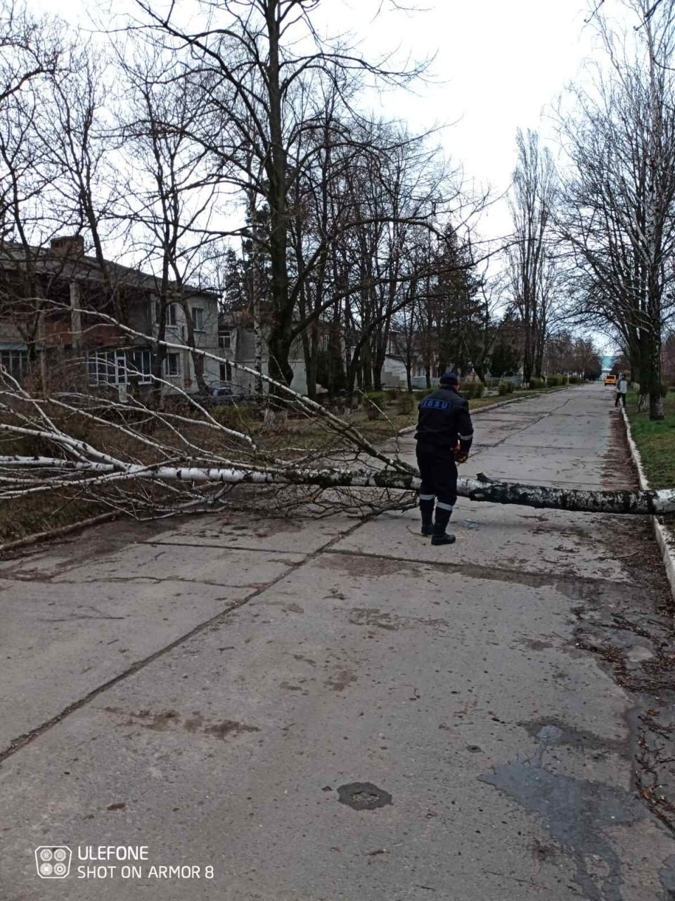 FOTO // Vântul face ravagii în toată țara. Mai multe mașini au fost avariate