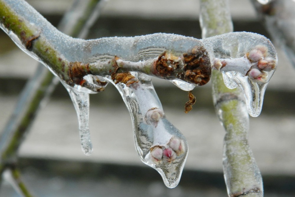 Alertă METEO: Serviciul Hidrometeorologic de Stat a emis COD GALBEN de îngheț pe tot teritoriul țării