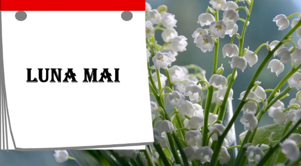 De să NU faci nunta în luna mai. Superstițile care împiedică legarea destinelor în ultima lună a primăverii