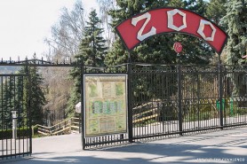 Grădina Zoologică împlinește 45 de activitate. Află ce program special a pregătit Primăria