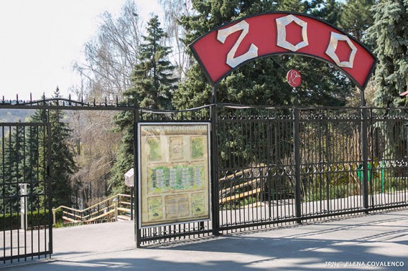 Grădina Zoologică împlinește 45 de activitate. Află ce program special a pregătit Primăria