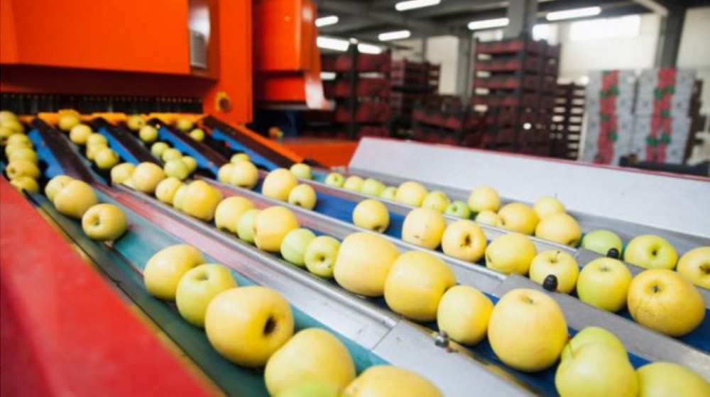 Marea Britanie a liberalizat toate taxele vamale aplicate la importul produselor agricole din Moldova