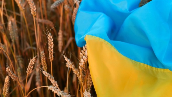 În ciuda protestelor: UE a prelungit suspendarea taxelor pentru exporturile din Ucraina