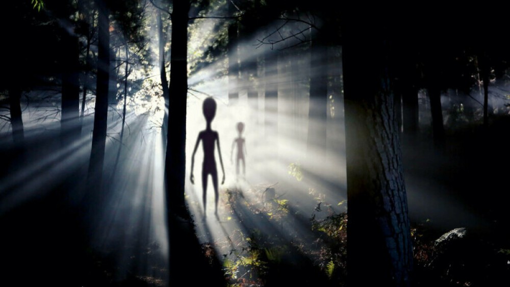 Morţile misterioase ale oilor în Anglia. De vină ar fi „prădători extratereştri”: Nu am mai văzut aşa ceva până acum