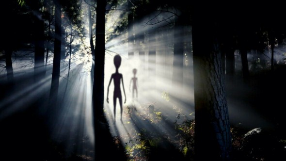 Morţile misterioase ale oilor în Anglia. De vină ar fi „prădători extratereştri”: Nu am mai văzut aşa ceva până acum