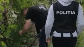 Creștea marijuana chiar în curtea casei. Percheziții la un bărbat de 56 de ani de la Hâncești