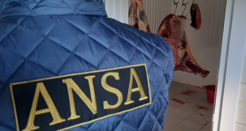 ANSA a descins cu verificări la colectori de animale. Ce recomandă cetățenilor