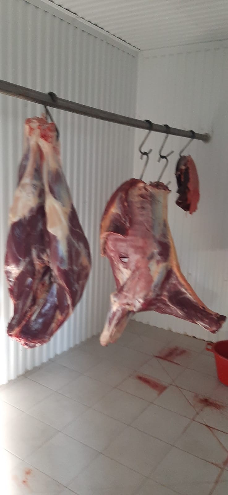 ANSA a descins cu verificări la colectori de animale. Ce recomandă cetățenilor