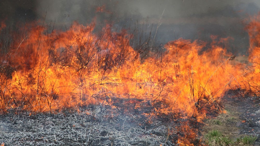 AVERTIZARE METEOROLOGICĂ: Cod galben de pericol excepțional de incendiu. Care sunt regiunile vizate