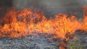 AVERTIZARE METEOROLOGICĂ: Cod galben de pericol excepțional de incendiu. Care sunt regiunile vizate