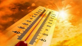 Căldura face ravagii în lume. Mai mulți oameni au murit