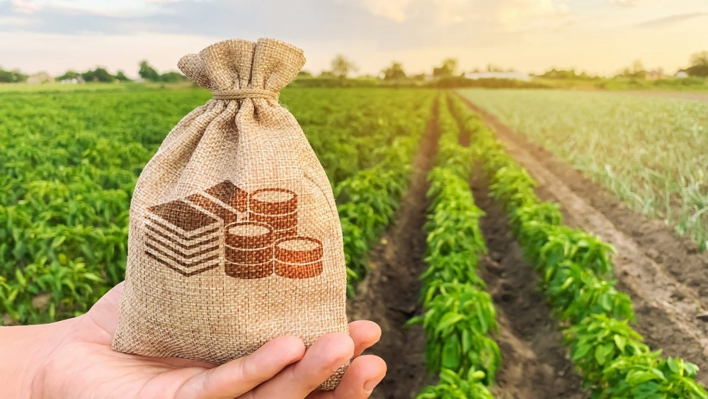 Cine profită de miliardele de lei oferite din bugetul statului pentru agricultori? Scheme și evaziuni din contul cetățenilor