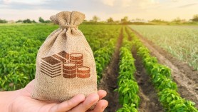 Cine profită de miliardele de lei oferite din bugetul statului pentru agricultori? Scheme și evaziuni din contul cetățenilor