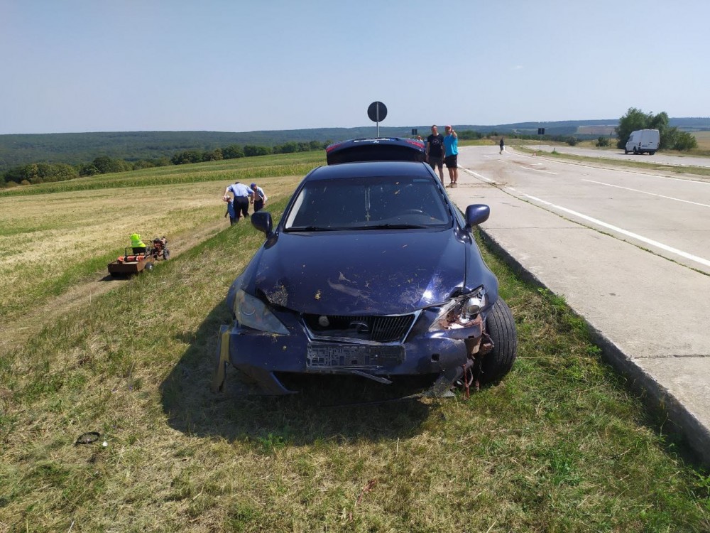Cimișlia // Un tânăr cu Lexus-ul, ignorând semnele de circulație rutieră a transformat șoseaua în „abator”: 30 de oi moarte și alte 10 traumate