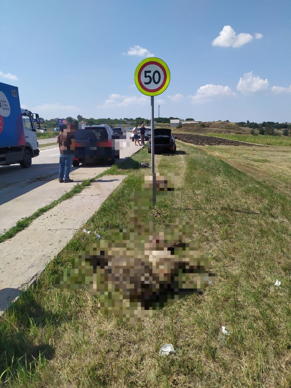 Cimișlia // Un tânăr cu Lexus-ul, ignorând semnele de circulație rutieră a transformat șoseaua în „abator”: 30 de oi moarte și alte 10 traumate