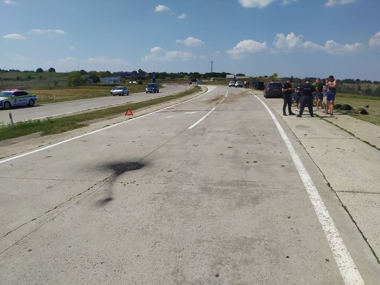 Cimișlia // Un tânăr cu Lexus-ul, ignorând semnele de circulație rutieră a transformat șoseaua în „abator”: 30 de oi moarte și alte 10 traumate
