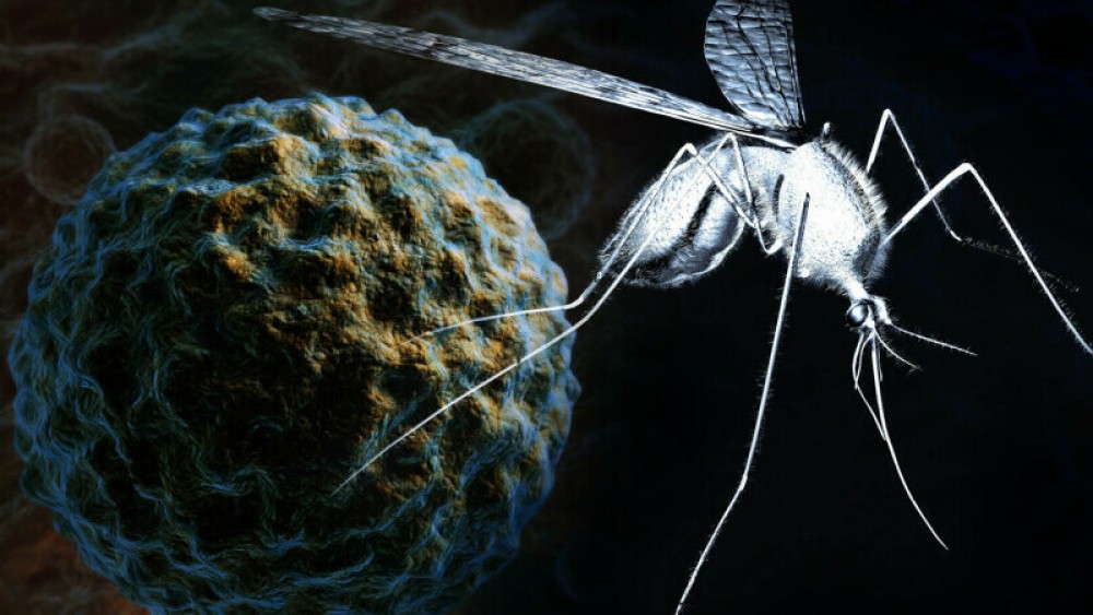 ALERTĂ în apropieră de Republica Moldova: A crescut numărul de infectări cu virusul West Nile