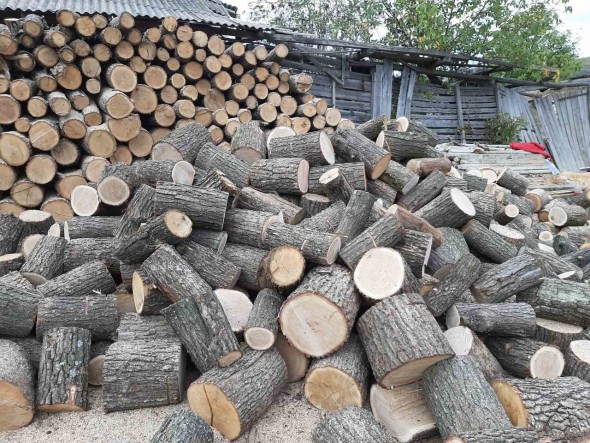 Tot mai scump să-ți fie cald: Cu cât s-au scumpit lemnele de foc în Repubica Moldova
