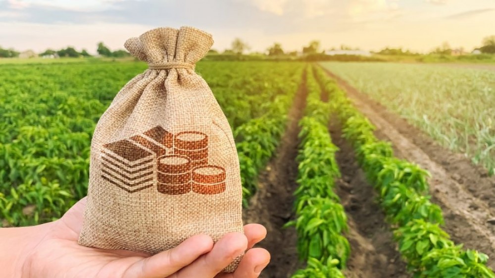 Peste 5 milioane de lei au ajuns la agricultorii din Găgăuzia, Orhei și Taraclia. Suport oferit la inițiativa lui Ilan Șor