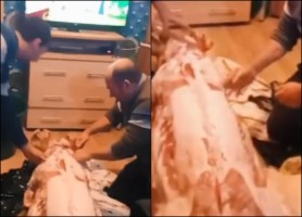 Viral pe internet: Porcul sacrificat în sufragerie sau în parc