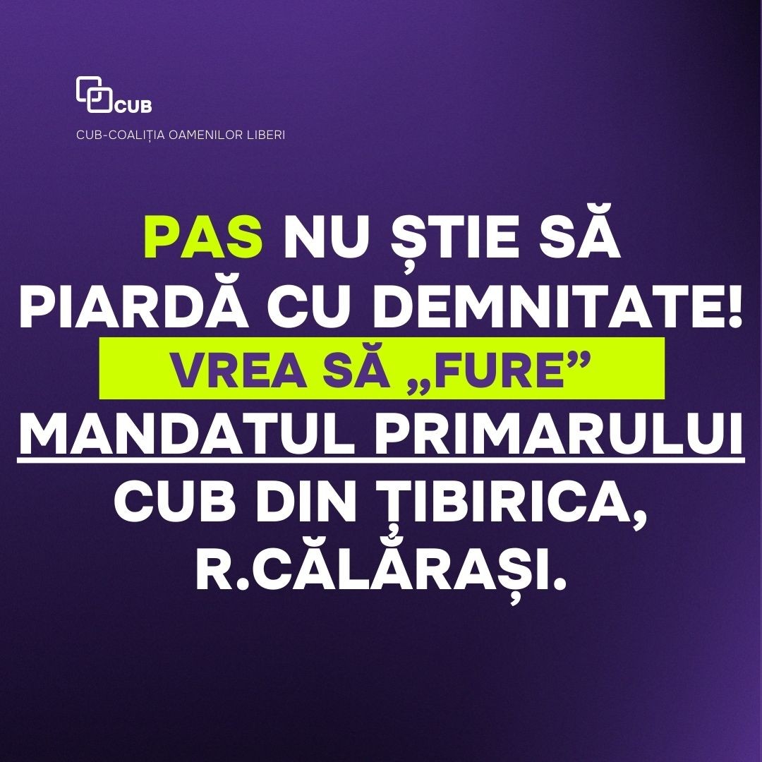„PAS vrea să fure mandatul primarului CUB”. Ceartă într-un sat din Călărași